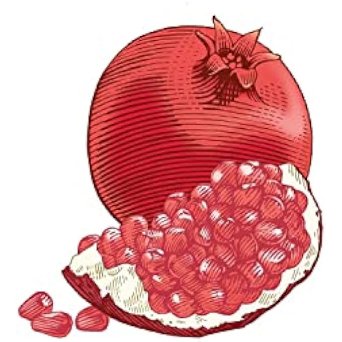 Burt's Bees LIP BALM, MOISTURIZING LIP CARE, 100% NATURAL, POMEGRANATE 1 TUBE 0.15-OUNCE 4.25G (USA) - Image 4